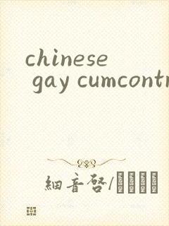 chinese gay cumcontrol封面