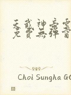 天武神帝云飞扬免费无弹窗封面