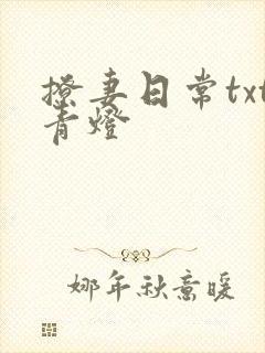 撩妻日常txt青灯