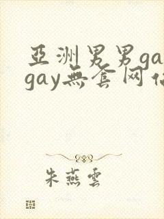 亚洲男男gaygay无套网站