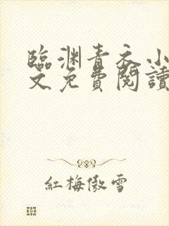 临渊青衣小说全文免费阅读无弹窗封面