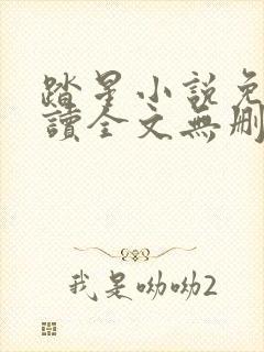 踏星小说免费阅读全文无删减