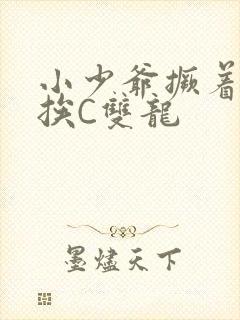 小少爷撅着屁股挨C双龙封面