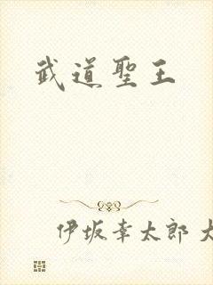 武道圣王