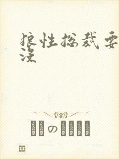 狼性总裁要够了没