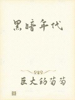 黑暗年代封面