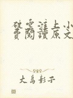 破云淮上小说免费阅读原文