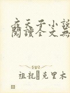 夜天子小说免费阅读全文无删减
