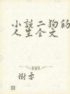 小说二狗的风流人生全文