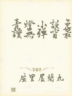 青灯小说免费阅读无弹窗最新章节