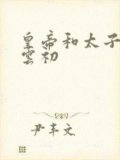 皇帝和太子妃h云初封面