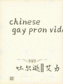 chinese gay pron videos封面