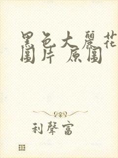 黑色大丽花真实图片 原图