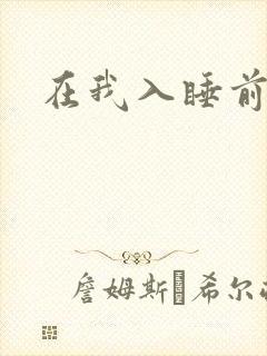 在我入睡前封面