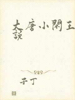 大唐小闲王 小说