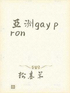 亚洲gay pron