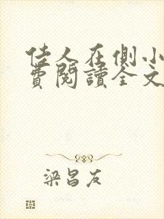 佳人在侧小说免费阅读全文无弹窗