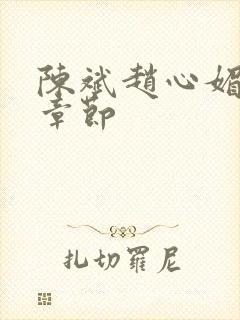陈斌赵心媚全部章节封面