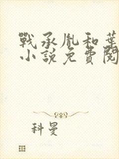 战承胤和叶苜苜小说免费阅读