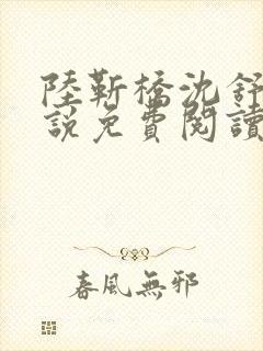 陆靳桥沈舒宁小说免费阅读最新章节封面