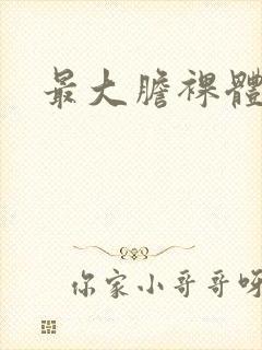 最大胆裸体艺术