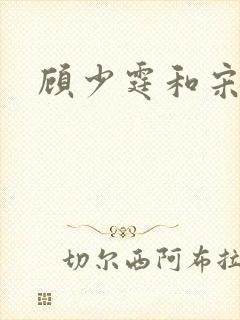 顾少霆和宋斯曼