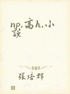 np,高h,小说