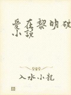 爱在黎明破晓前小说
