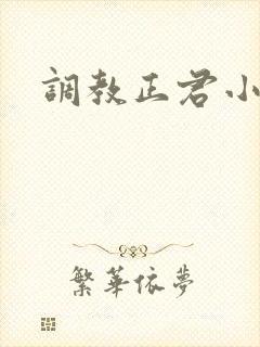 调教正君小说