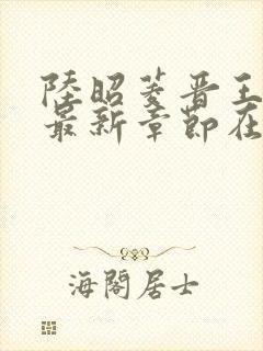 陆昭菱晋王小说最新章节在线阅读