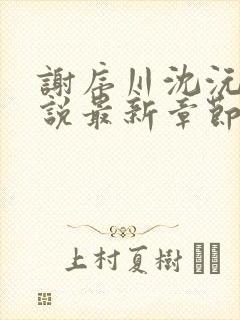 谢序川沈沅珠小说最新章节免费阅读