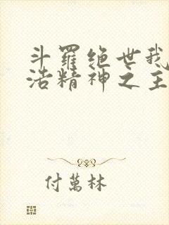 斗罗绝世我霍雨浩精神之主免费阅读封面