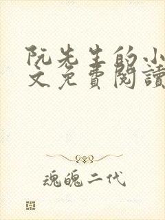 阮先生的小说全文免费阅读无弹窗