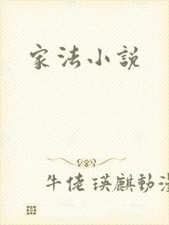 家法小说