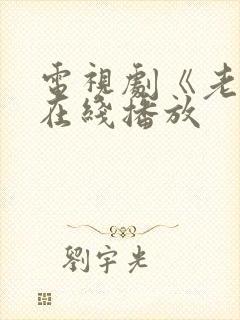 电视剧《老舅》在线播放