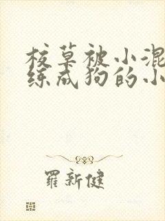 校草被小混混训练成狗的小说