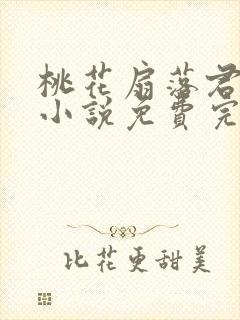 桃花扇落君不还小说免费完整版