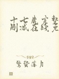 十七岁完整版未删减在线免费观看