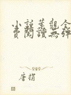 小说叶观全文免费阅读无弹窗封面