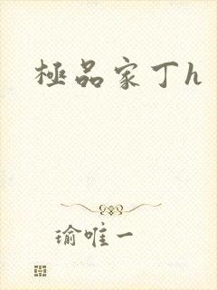 极品家丁h