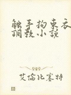 触手拘束衣淫堕调教小说