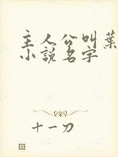 主人公叫叶凡的小说名字