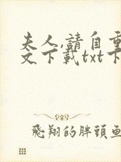 夫人,请自重全文下载txt下载
