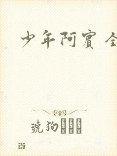 少年阿宾 全文封面