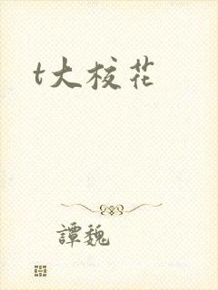 t大校花