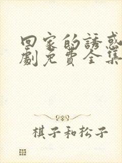 回家的诱惑电视剧免费全集在线播放