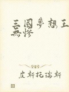三国梦想王元姬无惨封面