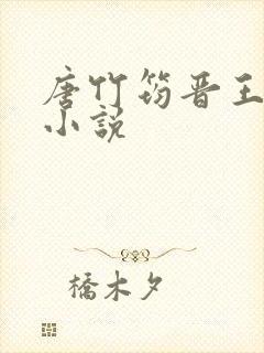 唐竹筠晋王什么小说封面