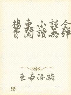 杨东小说全文免费阅读无弹窗