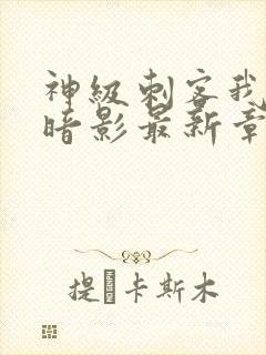 神级刺客我即是暗影最新章节